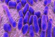 بررسی روند بار و هزینه منتسب به عفونت های ناشی از Acinetobacter baumannii و Klebsiella pneumonia مقاوم به آنتی بیوتیک ها در سطح ملی و استانی از سال 1990 تا 2021